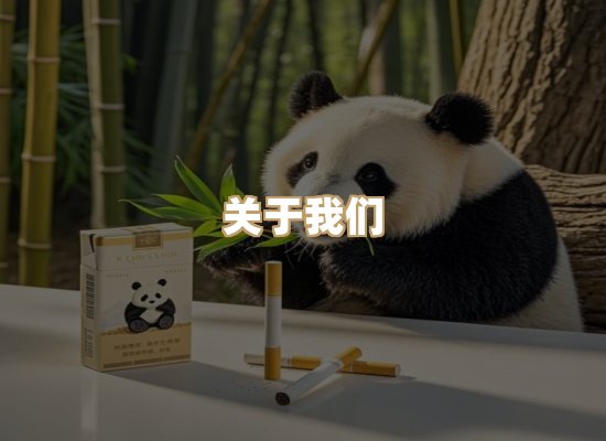 关于尚龙时烟网